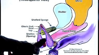 How to squirt? The best tutorial is here!