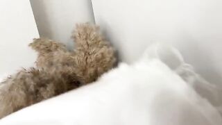 Sniffed panties and fucked curva in a wet pussy, intense action