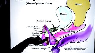How to Squirt? The ultimate tutorial by Mr. PussyLicking, a true enthusiast for female pleasure and the incredible sensation of the female orgasm. With years of experience in cunilingus, as seen in his extensive compilation of over 60 minutes of non-stop 