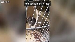 Sex in a capsule hostel and a city adventure