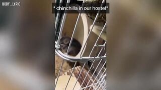 Sex in a capsule hostel and a city adventure