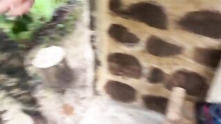 A couple gets caught having sex in the middle of the jungle