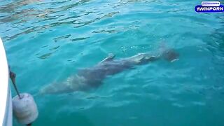 Romantic sex on the boat and on the island with hot beauty