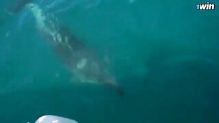Romantic sex on the boat and on the island with hot beauty