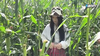 Security guard issues ticket to a thief in a cornfield