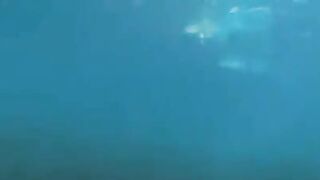 Aquatic sex of aqualangists at the bottom of the sea