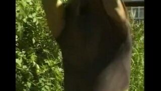Man masturbating his cock in the hayloft