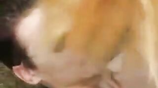 A young slut gets fucked outdoors in the park, loving every moment