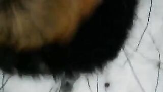 Winter blowjob on the street with a cute girl in stockings
