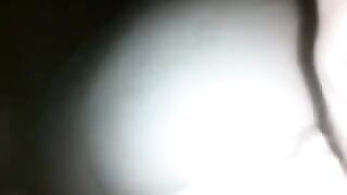 The chick was caught at night and taken on camera