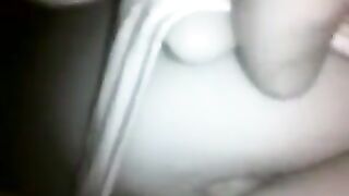 The chick was caught at night and taken on camera
