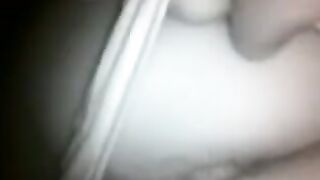 The chick was caught at night and taken on camera