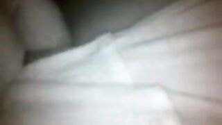 The chick was caught at night and taken on camera