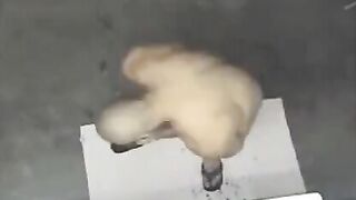A man took shower and did not know that he was being filmed
