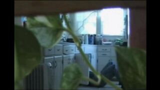 A married couple has no shame and fucks freely in their home