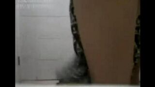 Asian beauties with small boobs are having fun with the guy on the porn rollers