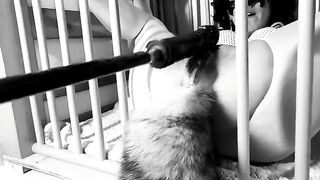 A day in a life of a Kitten: Ep.1 - Squirting on her tail