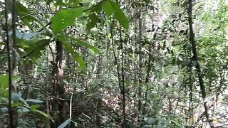 Fresh air and her warm lips on my cock - an unforgettable outdoor encounter