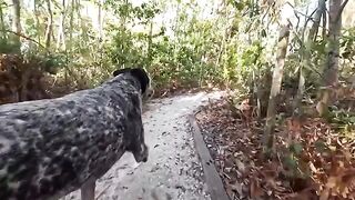 A girl has fun with her boyfriend in a risky outdoor spot