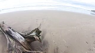 The beach is always wet - from the water and due to other reasons